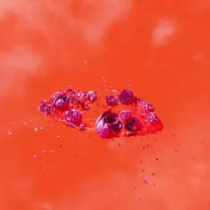 The living world's demands